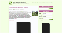 Desktop Screenshot of kwiaty-ogrody.pl