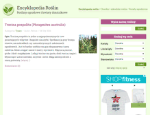 Tablet Screenshot of kwiaty-ogrody.pl